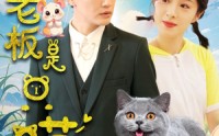 《我的老板是只喵（86集）》全集短剧免费畅快赏