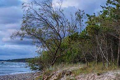 《将军的现代夫人（69集）》免费短剧全集精彩不断看