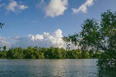 《巾帼老妈传奇归来（60集）》免费短剧在线看超带感