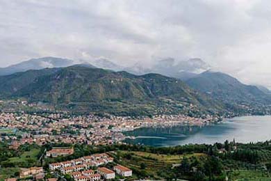 《绝命失忆（79集）》免费短剧全集在线畅享