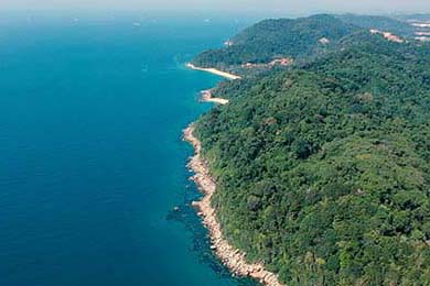 《风起烬铃（75集）》免费短剧全集精彩连连看