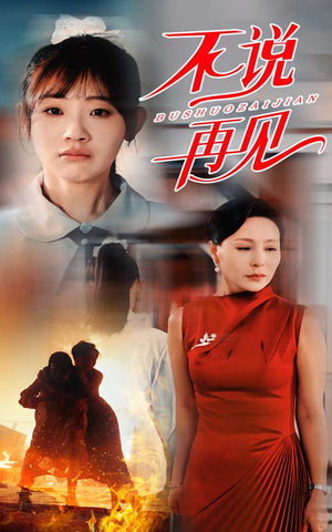 不说再见(31集) 不说再见(31集)全季一次看完