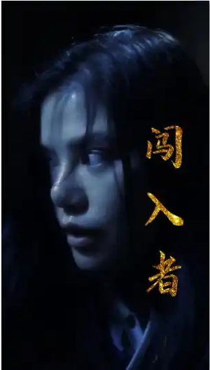 闯入者（51集）全集都在这里了