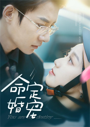 命定婚宠(61集) 命定婚宠(61集)第32集