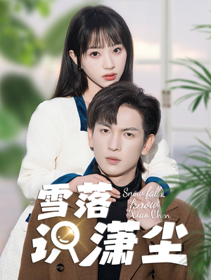 雪落识潇尘(80集) 雪落识潇尘(80集)短剧全集更精彩
