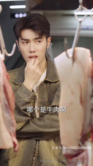 星途璀璨(73集) 星途璀璨(73集)每日短剧推荐