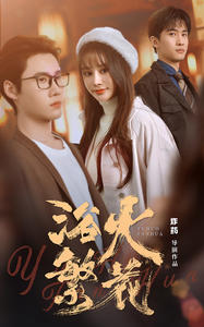 欲火繁花（83集）热门短剧追不停