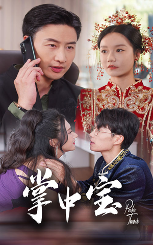 掌中宝(31集) 掌中宝(31集)短剧在哪里看