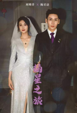 摘星之旅(88集) 摘星之旅(88集)免费全集短剧