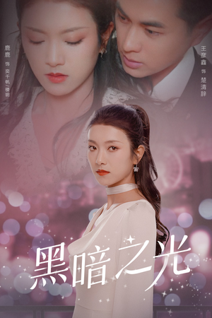 黑暗之光(84集) 黑暗之光(84集)经典老剧免费看