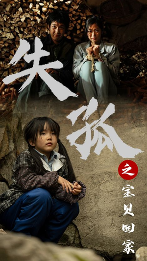 失孤之宝贝回家(71集) 失孤之宝贝回家(71集)演的怎么样