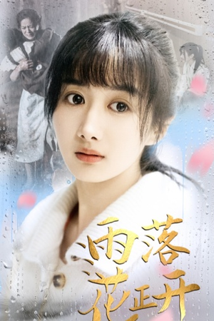 雨落花正开(62集) 雨落花正开(62集)热门短剧看不停