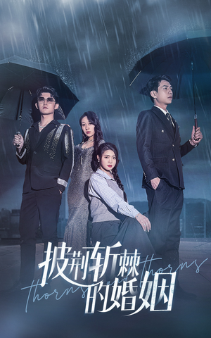 披荆斩棘的婚姻（70集）免费观看全集