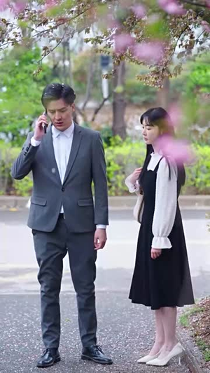 拯救豪门的赘婿（80集）爆款短剧追不停