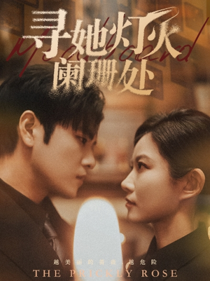 寻她灯火阑珊处(61集) 寻她灯火阑珊处(61集)超好看短剧推荐