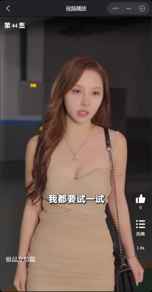 我的富豪美女总裁(我的极品女总裁) 我的富豪美女总裁(我的极品女总裁)完整版免费观看