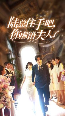 陆总住手吧,你虐错夫人了(80集) 陆总住手吧,你虐错夫人了(80集)爆款短剧一起追