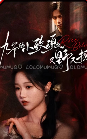 九爷的小玫瑰又野又撩(100集) 九爷的小玫瑰又野又撩(100集)在哪里可以全集