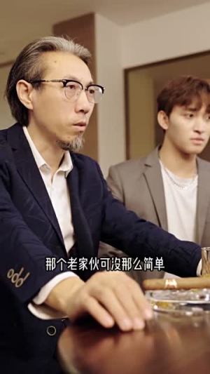 弃少归来谍中谍(100集) 弃少归来谍中谍(100集)短剧上热门