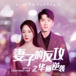 妻子的反攻之华丽逆袭(30集) 妻子的反攻之华丽逆袭(30集)在线观看