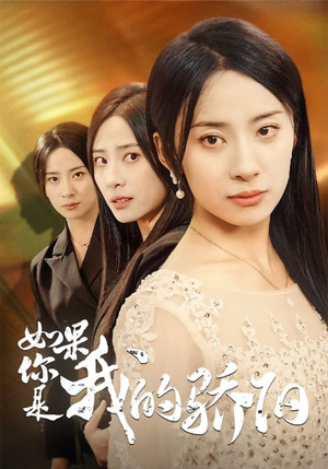 如果你是我的骄阳（30集）短剧有好货推荐