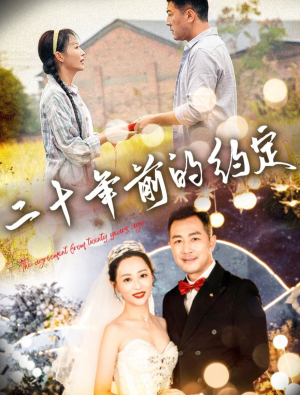 二十年前的约定（57集）热门短剧看不停