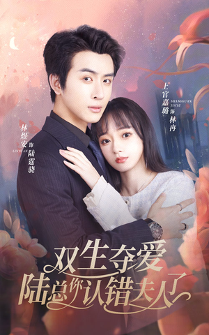 双生夺爱陆总你认错夫人了（94集）夸克网盘在线看