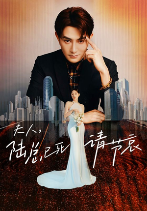 夫人,陆总已死请节哀(95集) 夫人,陆总已死请节哀(95集)原创精彩短剧