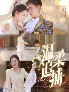 温柔追捕(89集) 温柔追捕(89集)悬疑短剧推荐