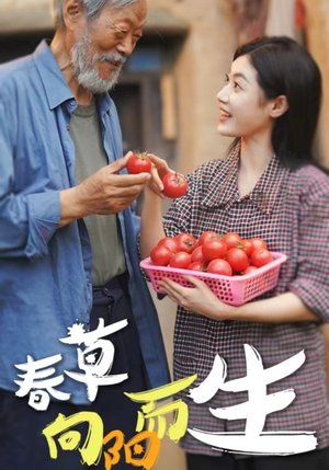 春草向阳而生(53集) 春草向阳而生(53集)精彩短剧合集