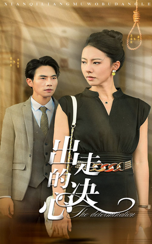 出走的决心(29集) 出走的决心(29集)免费看