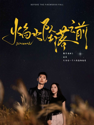 焰火坠落之前(99集) 焰火坠落之前(99集)全网独播免费看
