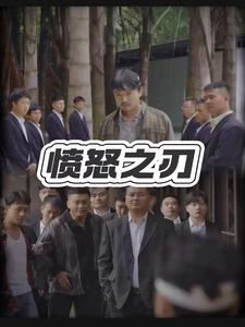 愤怒之刃（35集）全网独播免费看