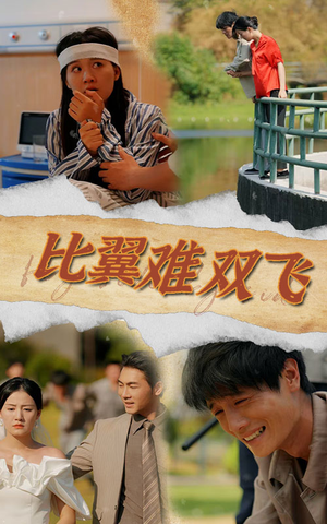 比翼难双飞(30集) 比翼难双飞(30集)全集完整版