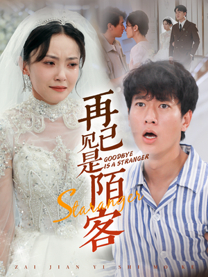 再见已是陌客(55集) 再见已是陌客(55集)评价怎么样