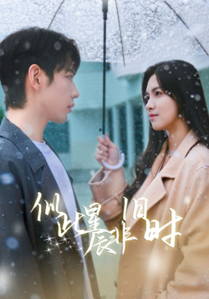 似此星辰非旧时（59集）热门火爆短剧