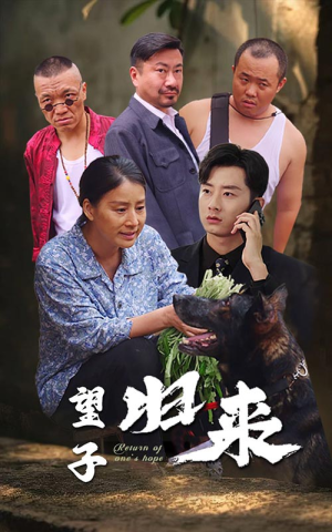 望子归来(50集) 望子归来(50集)男频短剧推荐
