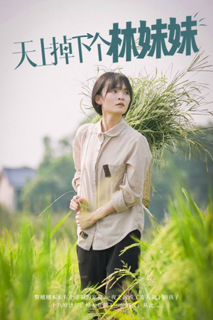 天上掉下个林妹妹(81集) 天上掉下个林妹妹(81集)精彩连连免费看