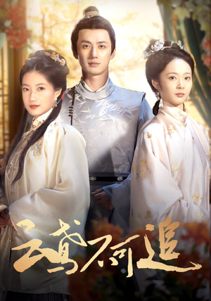 云鸢不可追(42集) 云鸢不可追(42集)UC网盘在线看