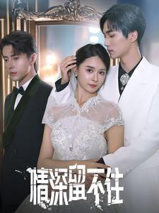 情深留不住(80集) 情深留不住(80集)免费短剧完整版