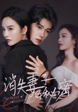 消失妻子的秘密（60）第一季