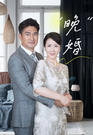 晚婚(65集) 晚婚(65集)高分佳作免费看