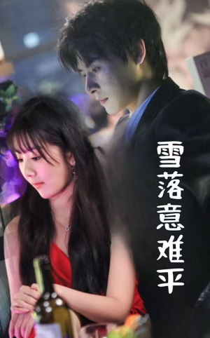 雪落意难平(35集) 雪落意难平(35集)第32集