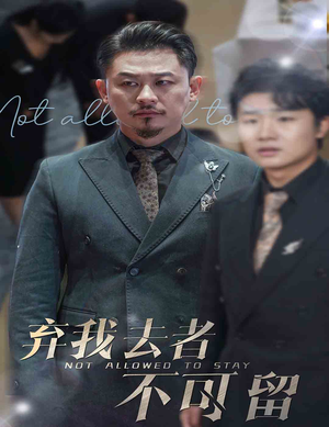 弃我去者不可留(60集) 弃我去者不可留(60集)火爆短剧来袭