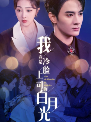 我竟是冷脸上司的白月光(80集) 我竟是冷脸上司的白月光(80集)精彩的短剧