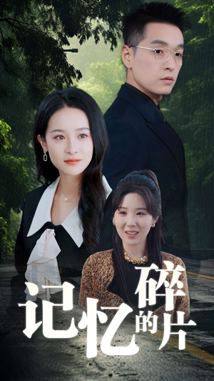 记忆的碎片(50集) 记忆的碎片(50集)最新热剧免费看