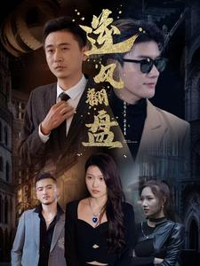 新:逆风翻盘(94集) 新:逆风翻盘(94集)短剧