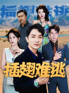 插翅难逃（43集）高分推荐免费看