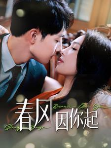 春风因你起(95集) 春风因你起(95集)热门短剧分享