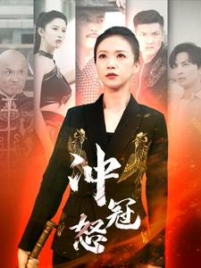 冲冠怒(93集) 冲冠怒(93集)精彩不断免费看